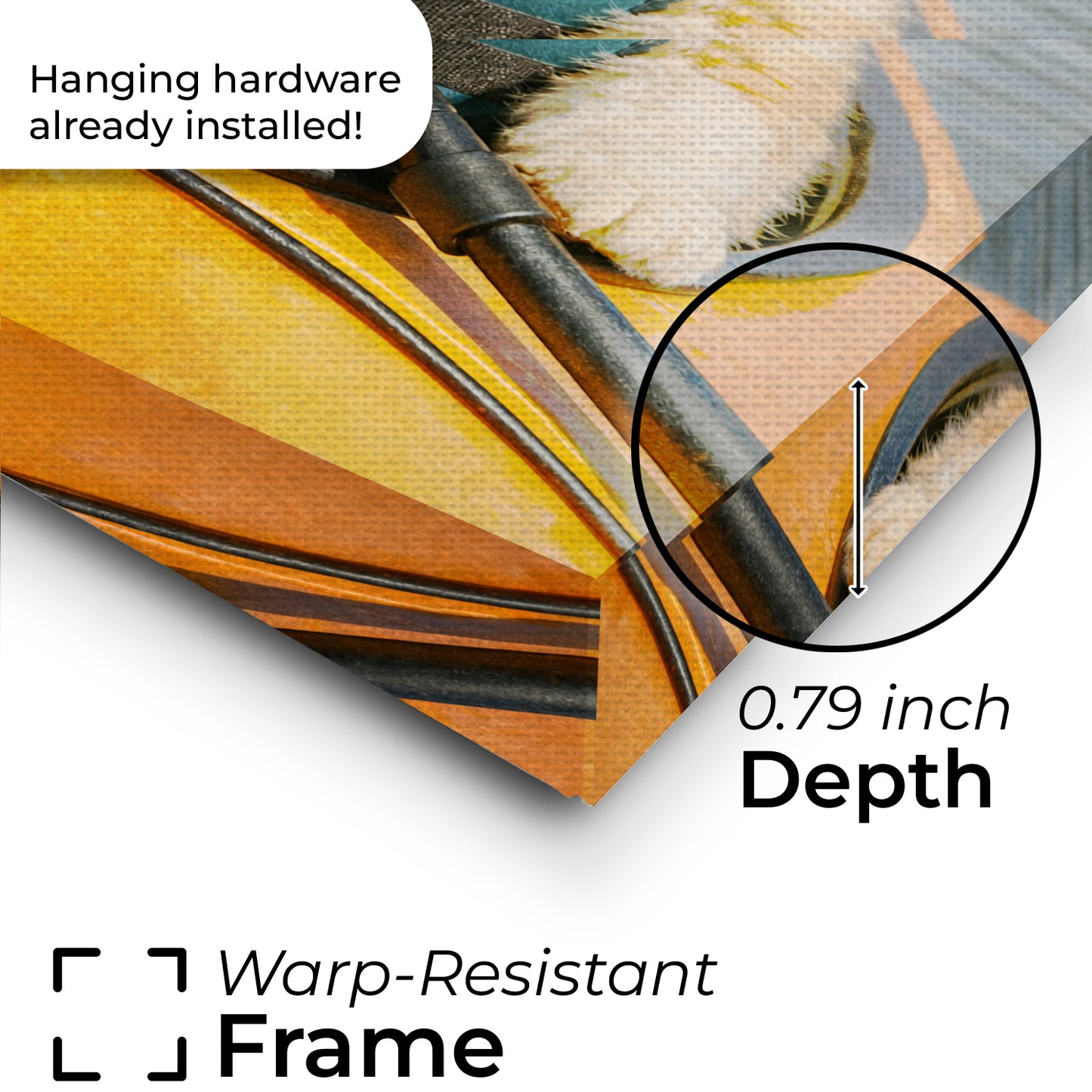 Custom Photo Kayak Cat Canvas Gift For Cat Lovers