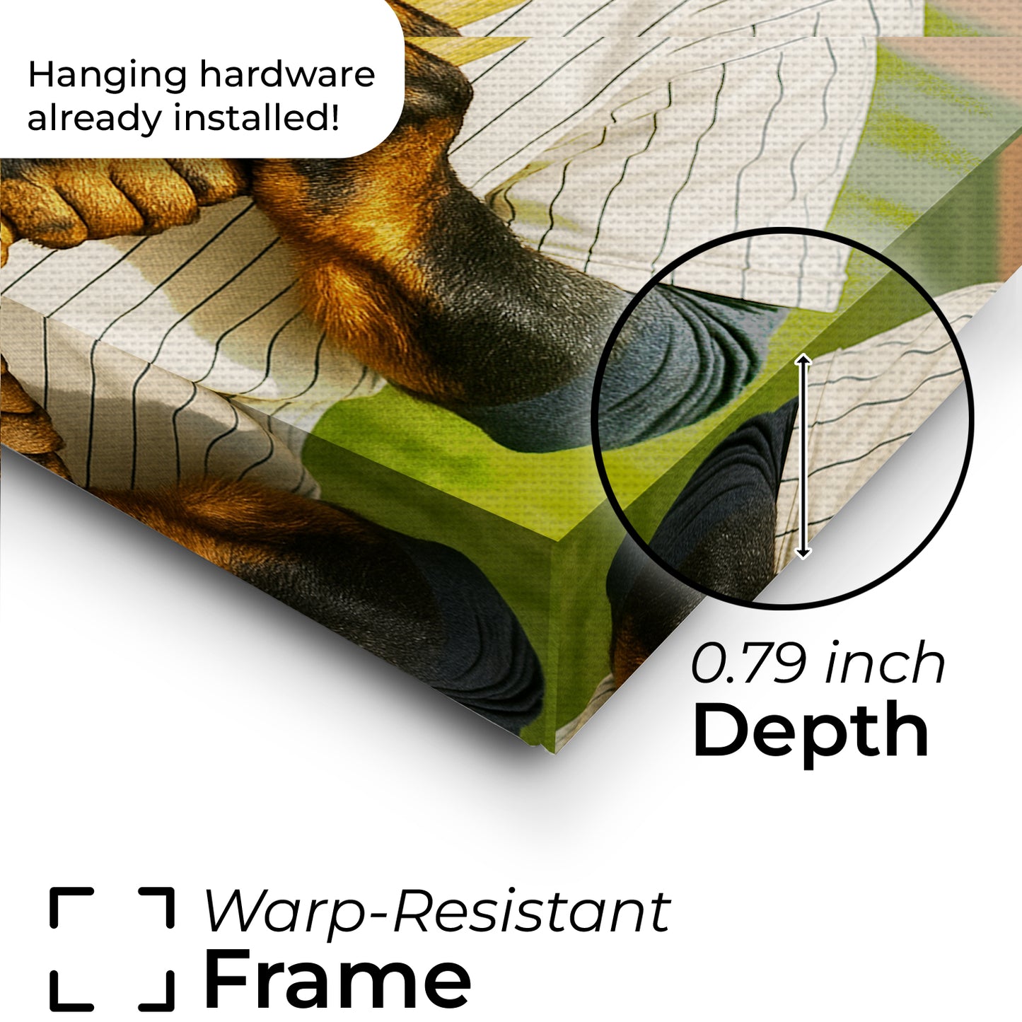 Custom Photo Baseball Player Dog Gift For Dog Lovers