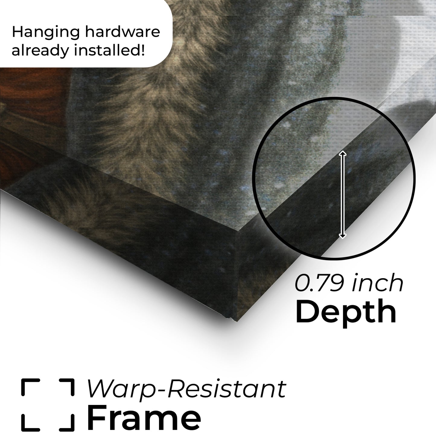 Custom Photo Winter King Royal Cat Canvas Gift For Cat Lovers