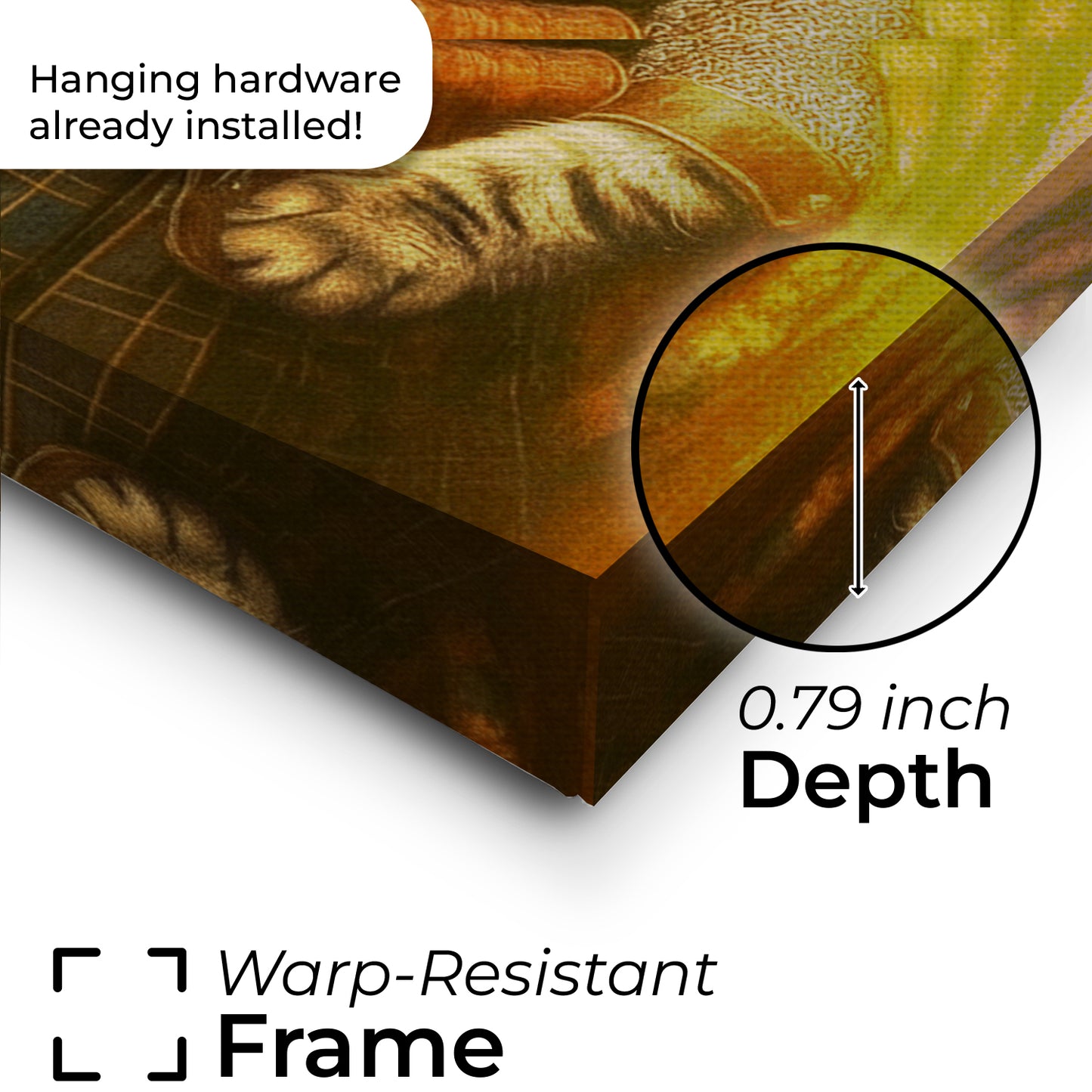 Custom Photo Royal Knight Cat Canvas Gift For Cat Lovers