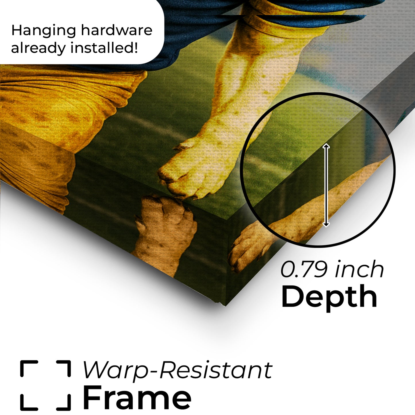 Custom Photo Football Player Canvas Gift For Dog Lovers