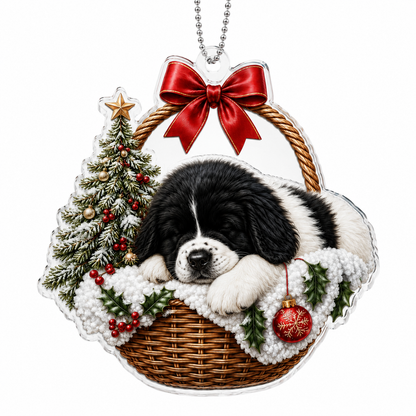 Dog Chrismast With Wicker Basket Newfoundland