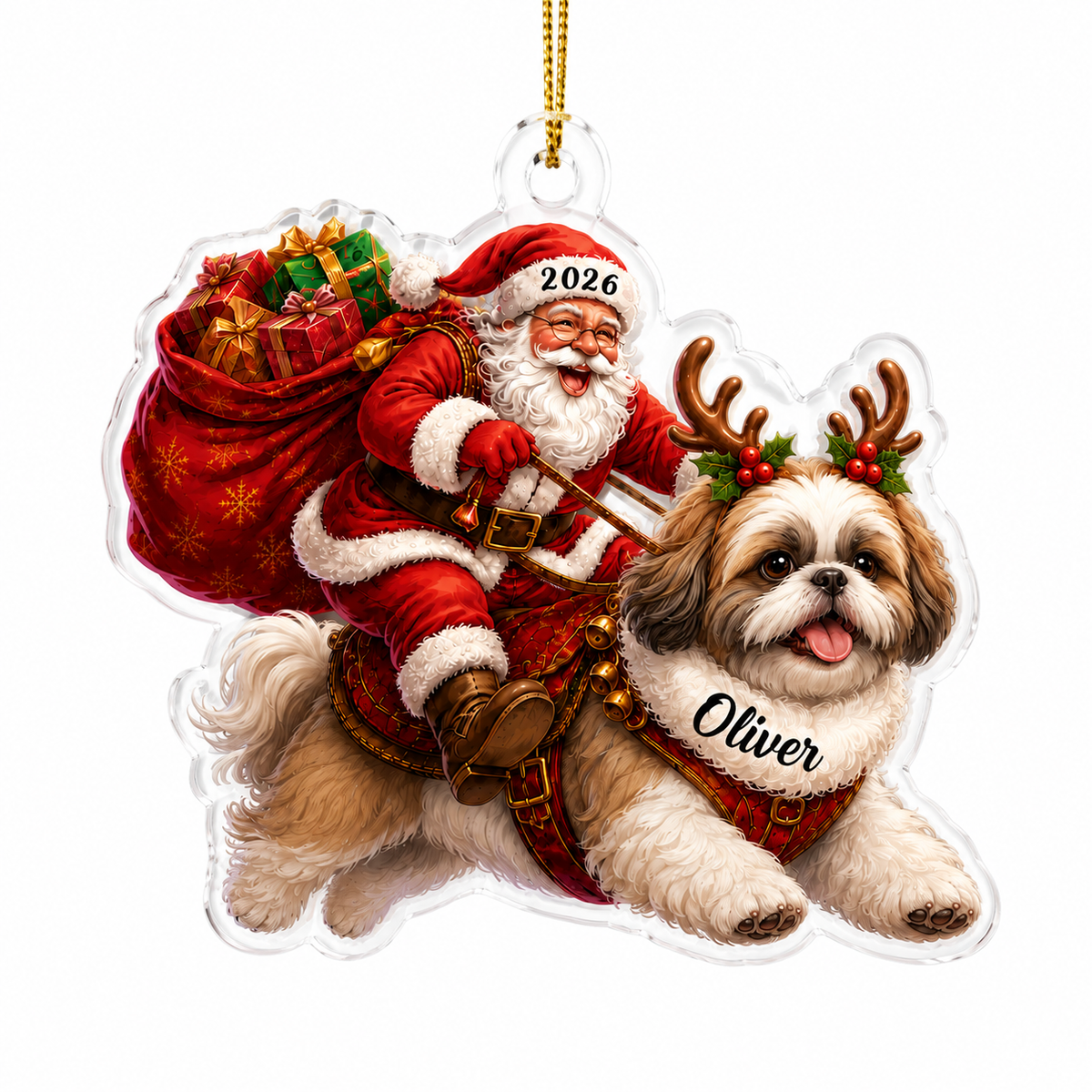 Santa Claus and Dog Shih Tzu