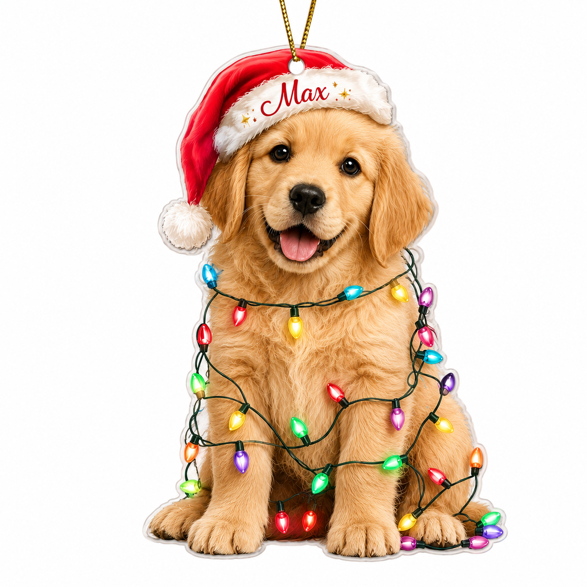 Custom Photo Dog Christmas Style 11