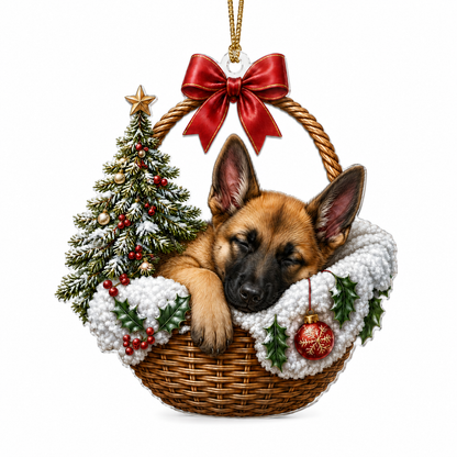 Dog Chrismast With Wicker Basket Belgian Malinois