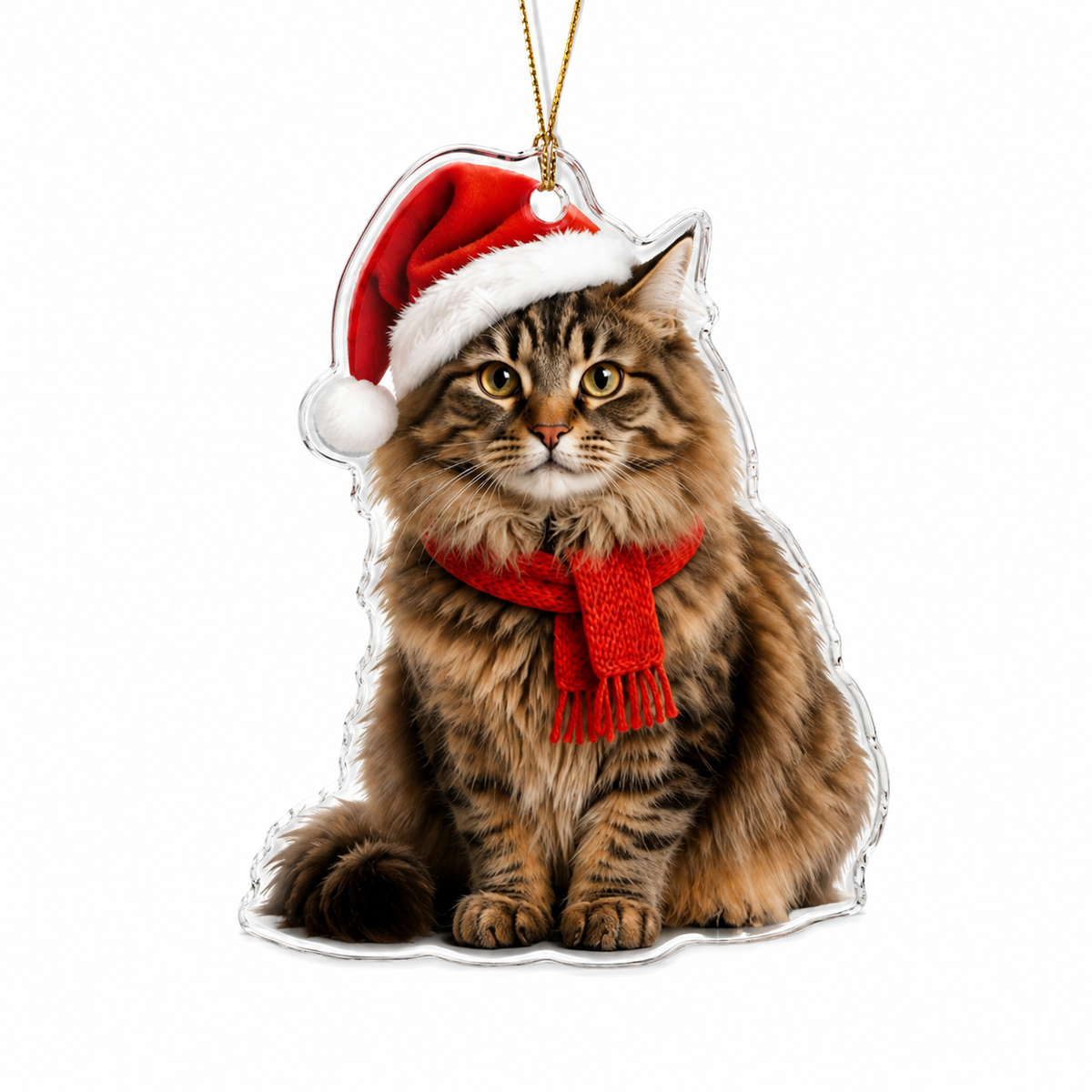 Noel Cat Siberian Cat