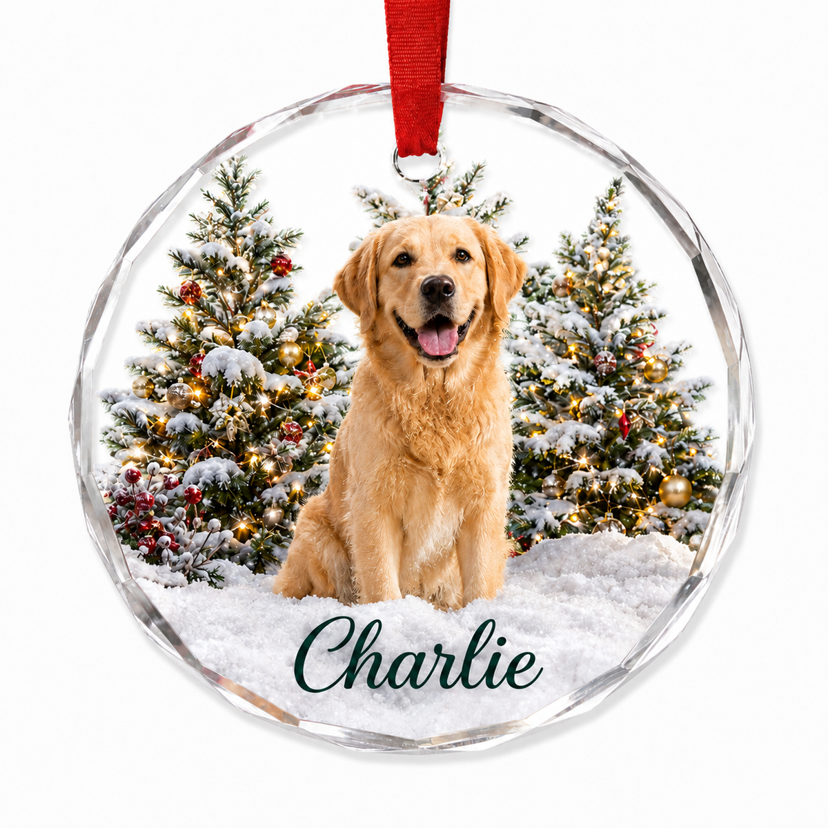 Custom Photo Dog Xmas Style 6
