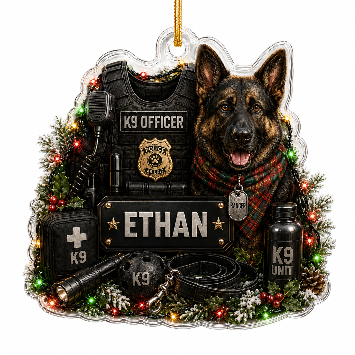 K9 Officer