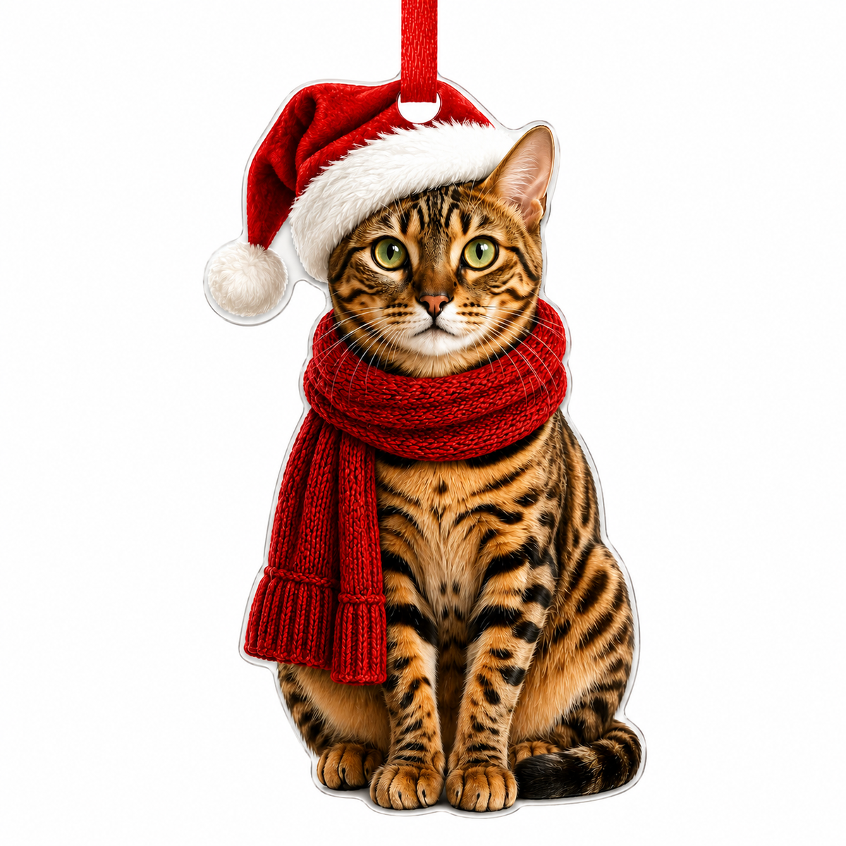 Noel Cat Bengal Cat