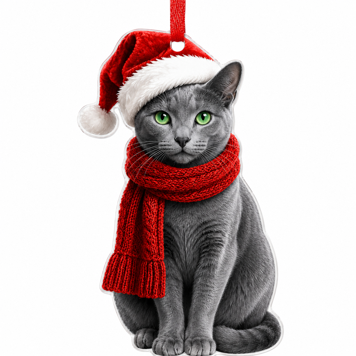 Noel Cat Russian Blue