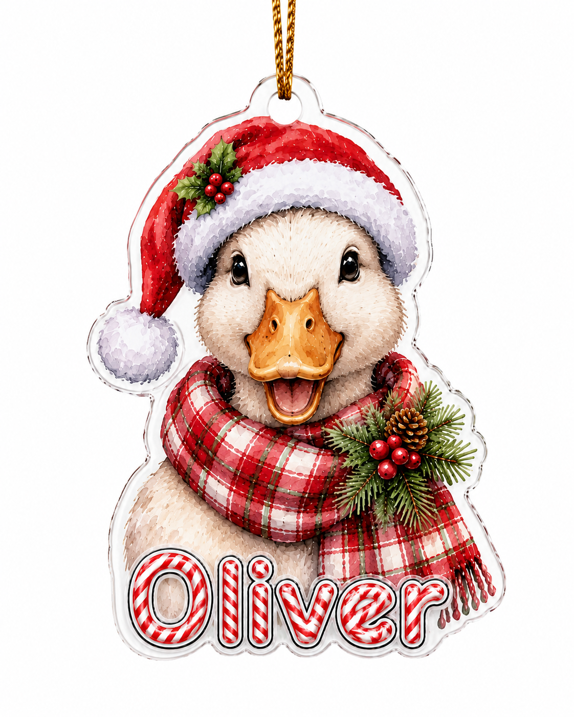 Christmas Farm Animal Duck