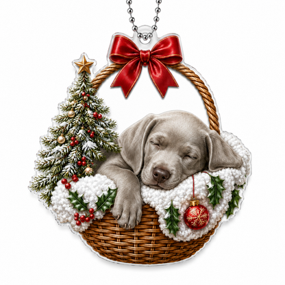 Dog Chrismast With Wicker Basket Weimaraner