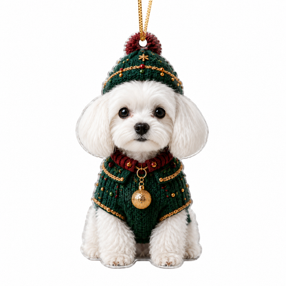Dog Chrismast With Noel Sweater Maltese