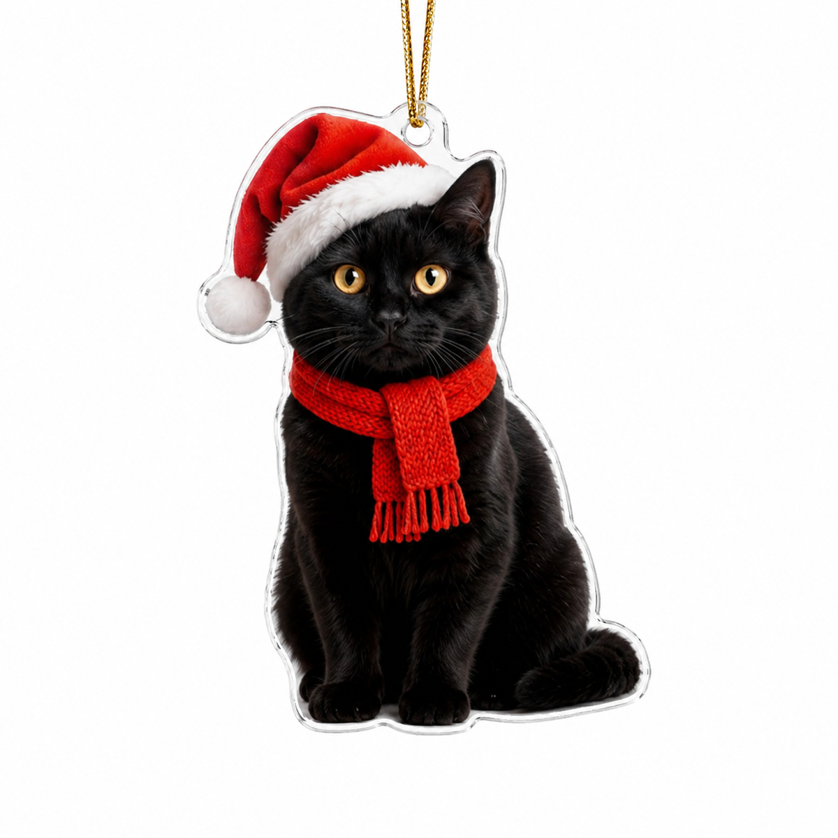 Noel Cat Black Cat