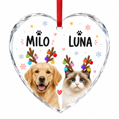 Custom Photo Pet Style 9