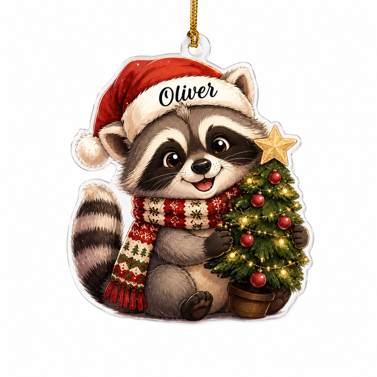Animal Chrismas Raccoon