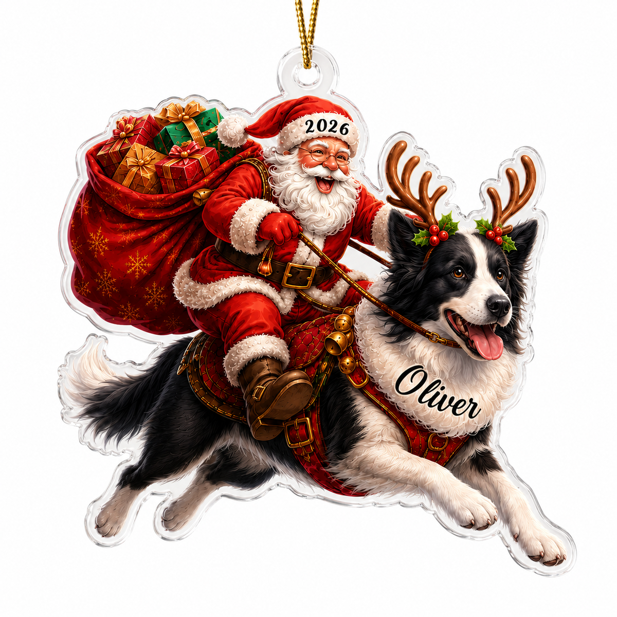 Santa Claus and Dog Border Collie