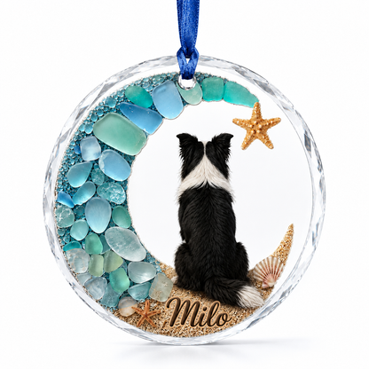 Custom Dog Seashell Border Collie