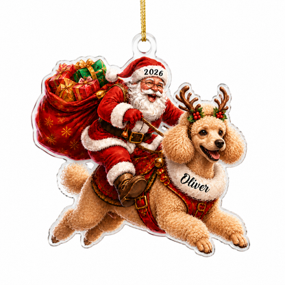 Santa Claus and Dog Poodle