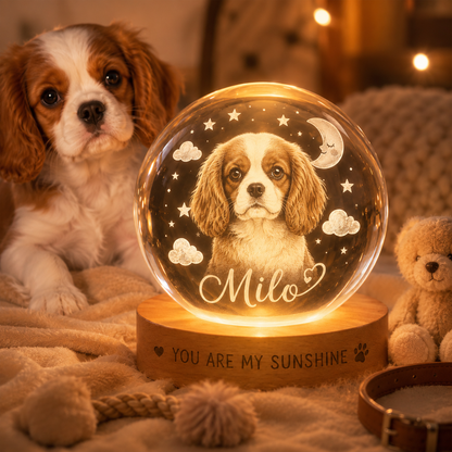 Custom Dog Crystal Ball Night Light, Personalized Pet Photo Crystal Lamp, Memorial Dog Gift THUC99