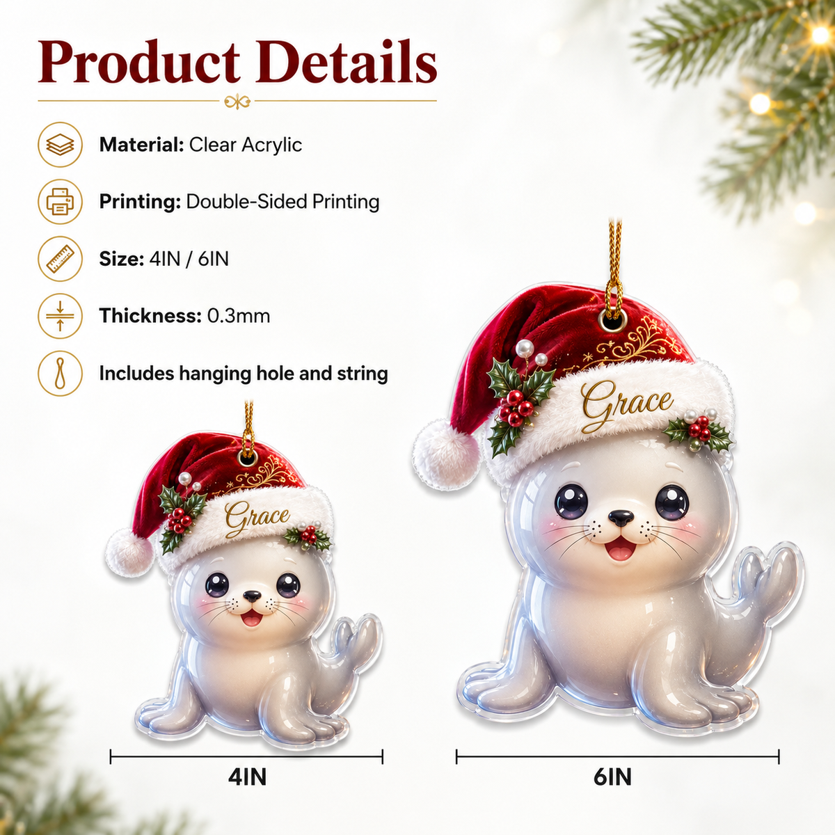 Animal With Santa Hat Sea Lion