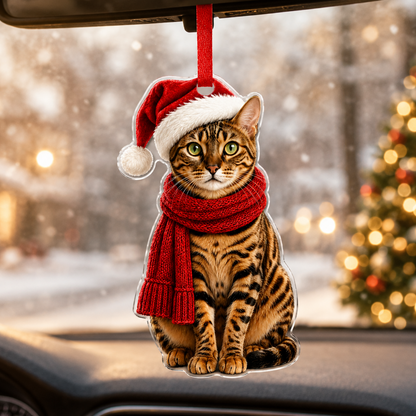 Noel Cat Bengal Cat
