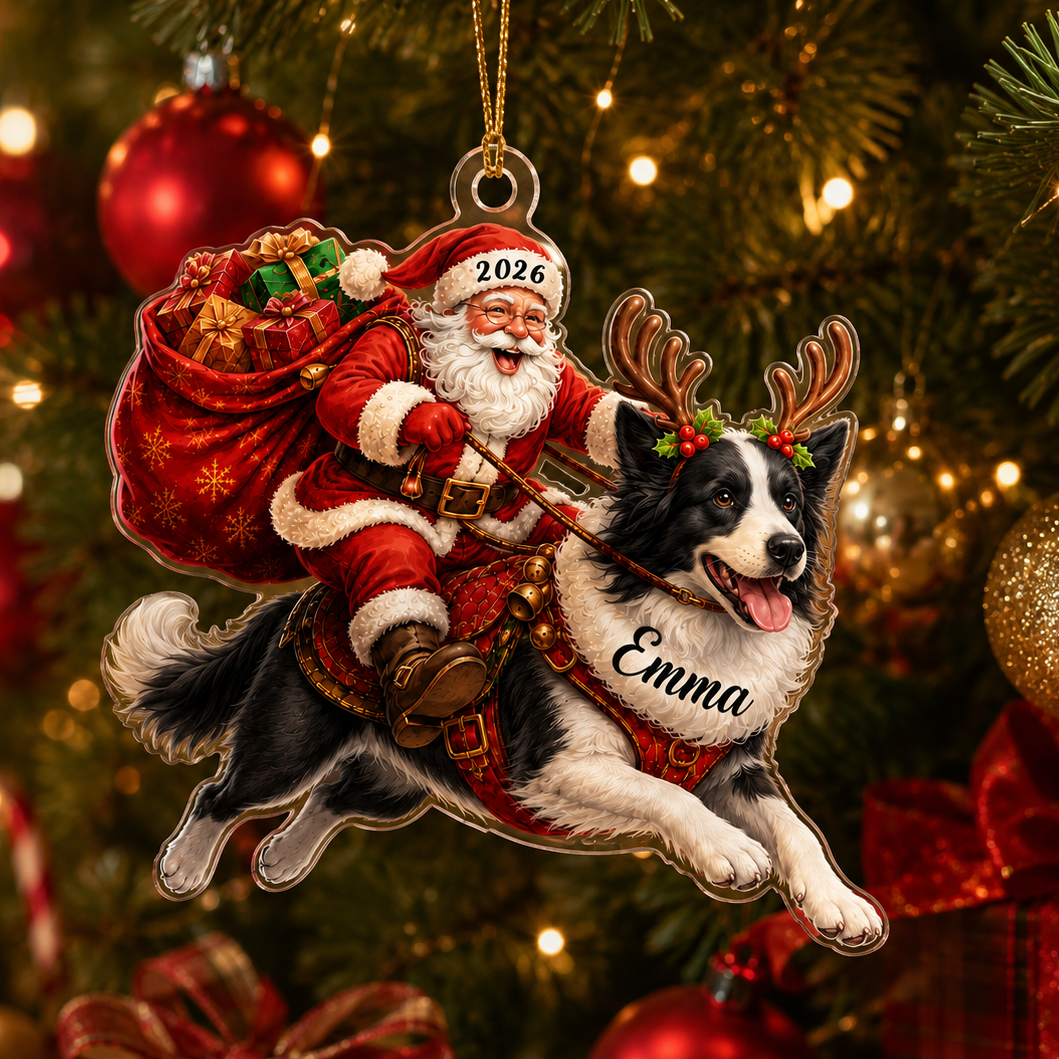 Santa Claus and Dog Border Collie