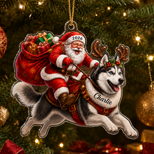 Santa Claus and Dog Siberian Husky