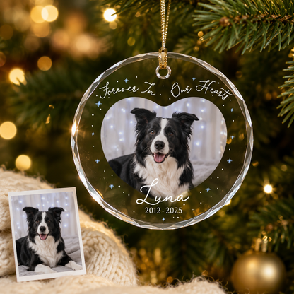 Custom Photo Dog Memorial Style 12