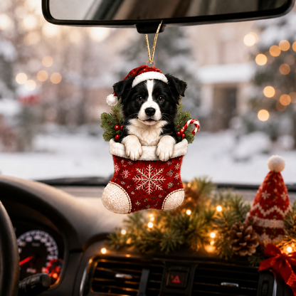 Dog Christmas Socks Border Collie