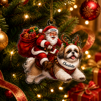Santa Claus and Dog Shih Tzu