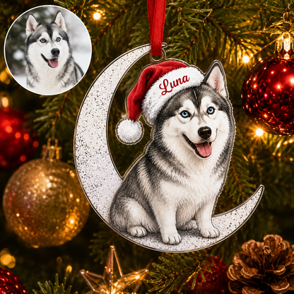 Custom Photo Dog Christmas Style 14