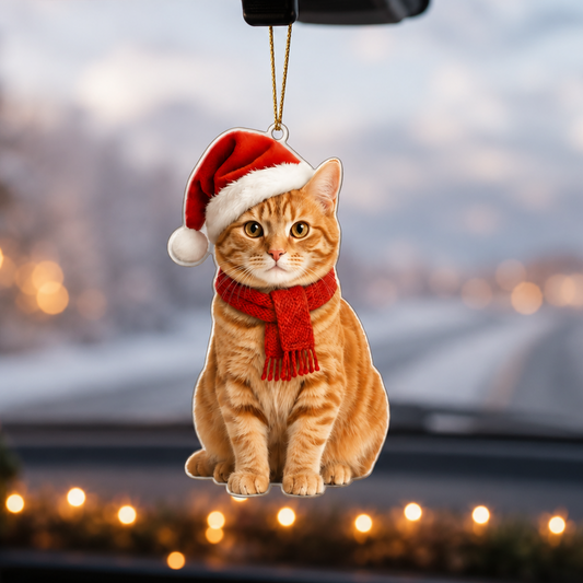 Noel Cat Orange Tabby Cat