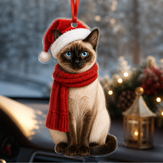 Noel Cat Siamese Cat