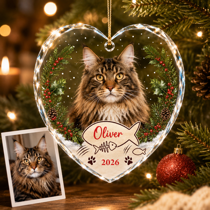 Custom Photo cat style 2