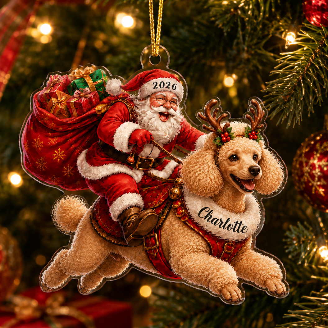 Santa Claus and Dog Poodle