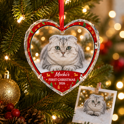 Custom Photo cat style 1
