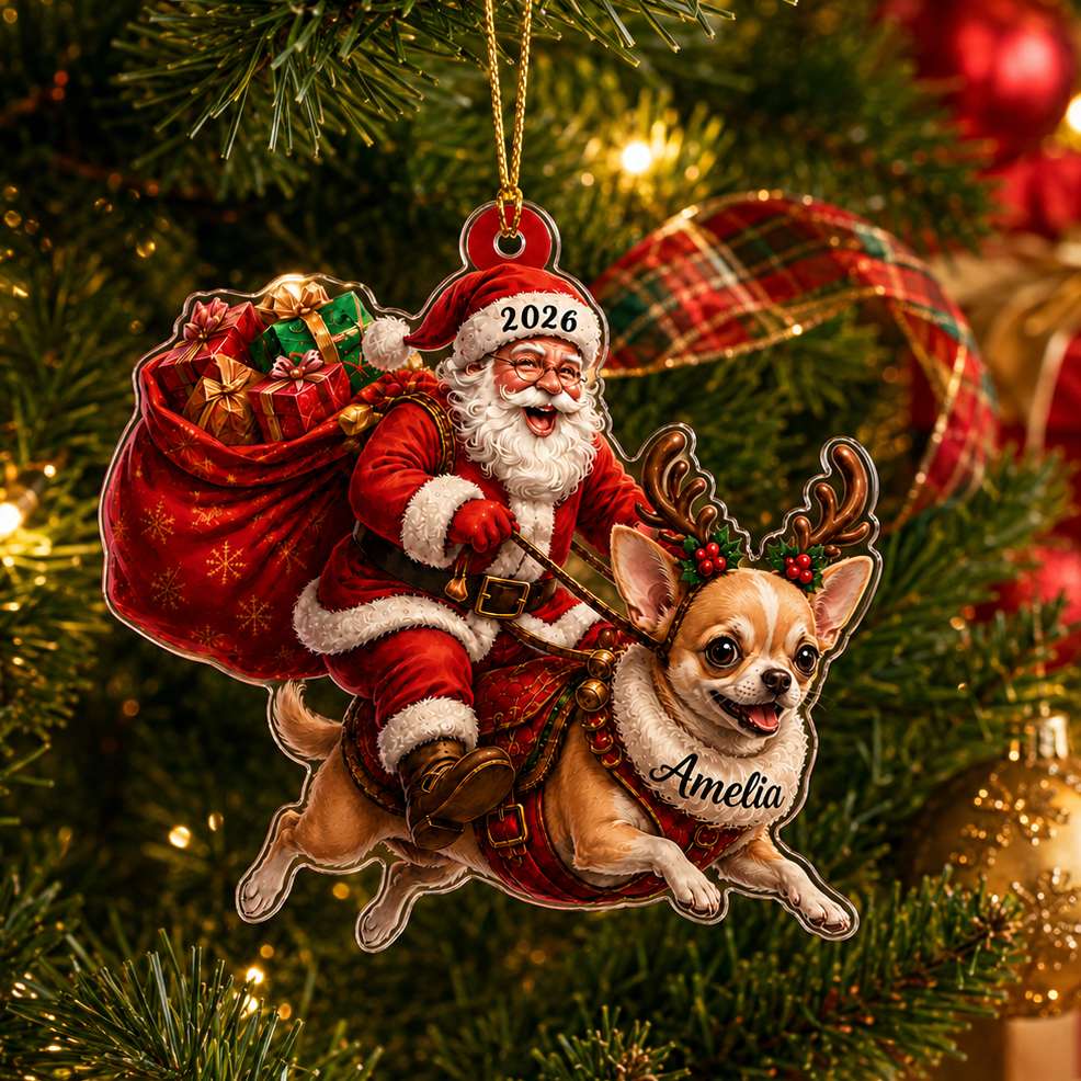 Santa Claus and Dog Chihuahua