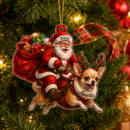 Santa Claus and Dog Chihuahua