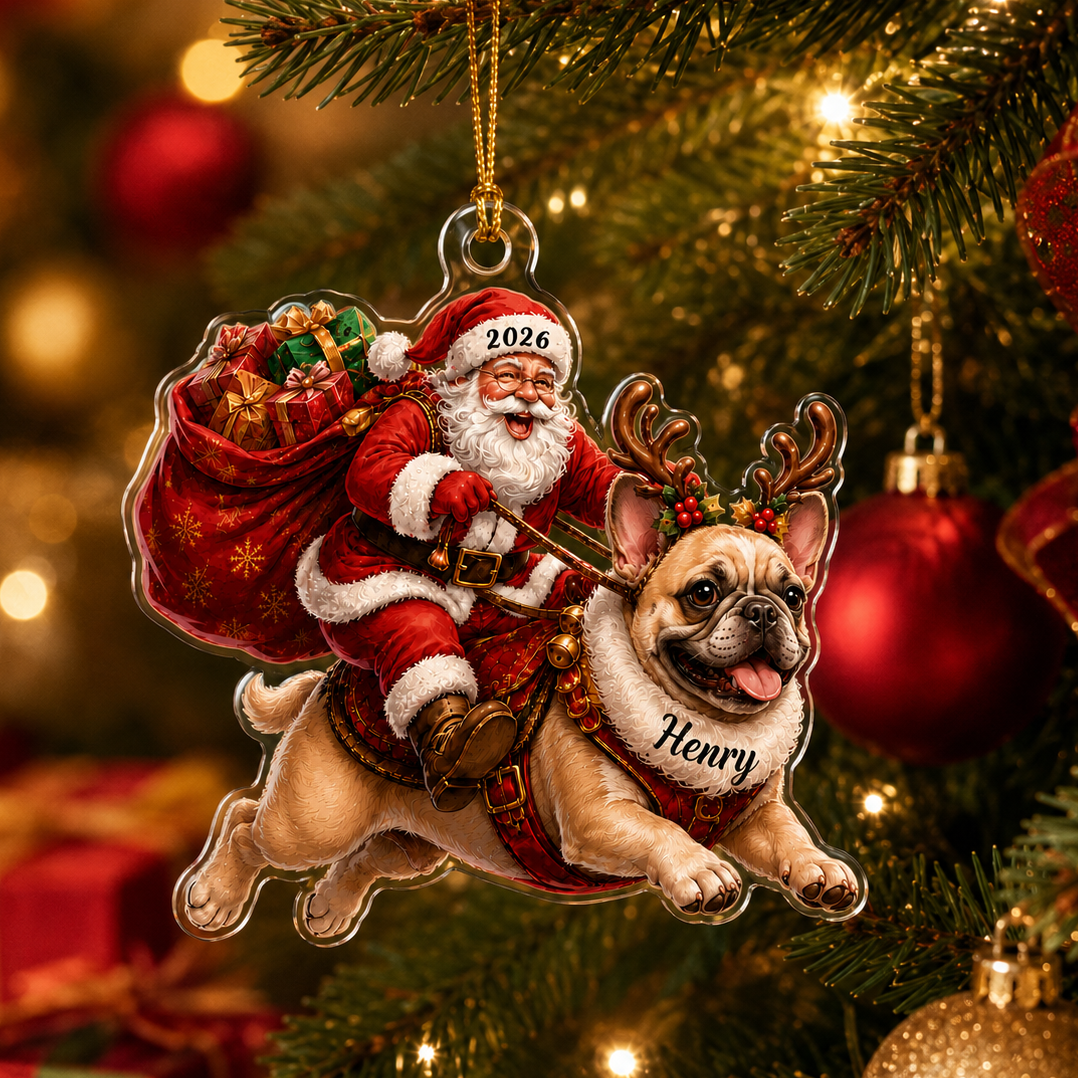 Santa Claus and Dog French Bulldog