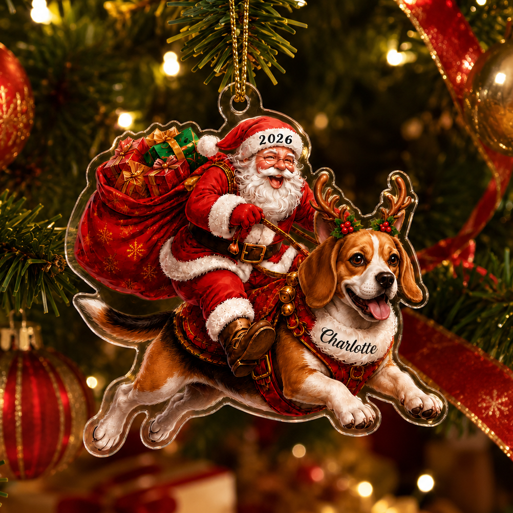 Santa Claus and Dog Beagle
