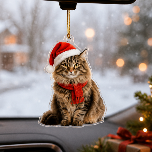 Noel Cat Siberian Cat
