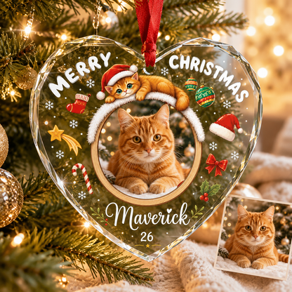 Custom Photo cat style 10