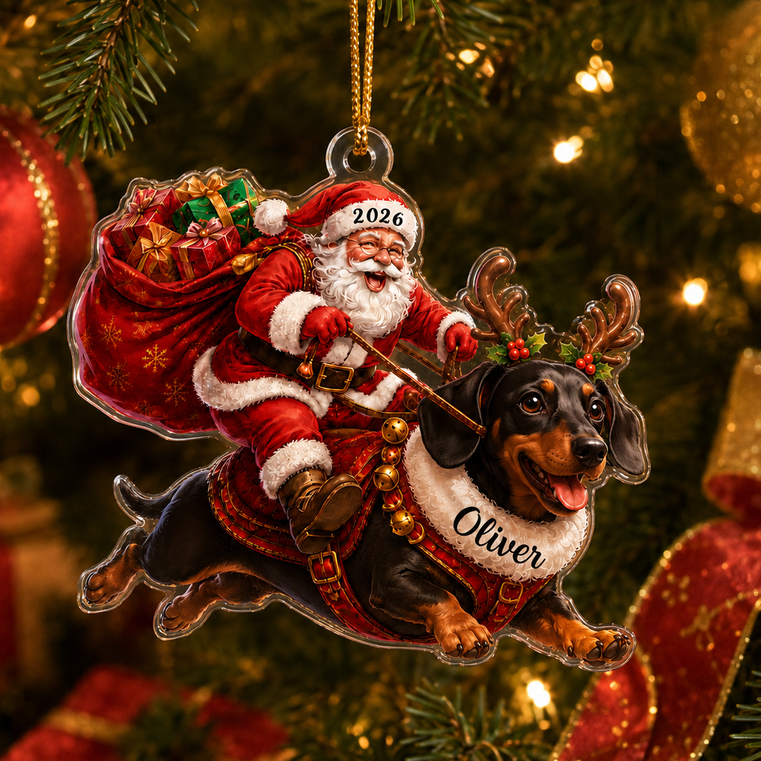 Santa Claus and Dog Dachshund