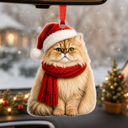 Noel Cat Persian Cat