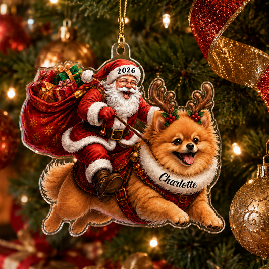 Santa Claus and Dog Pomeranian