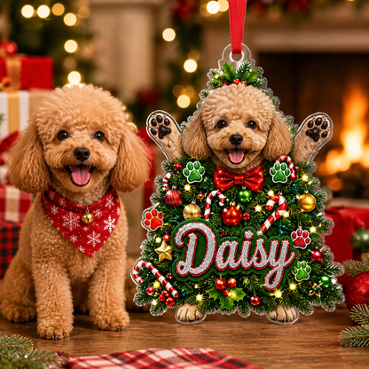 Custom Photo Dog Christmas Style 2