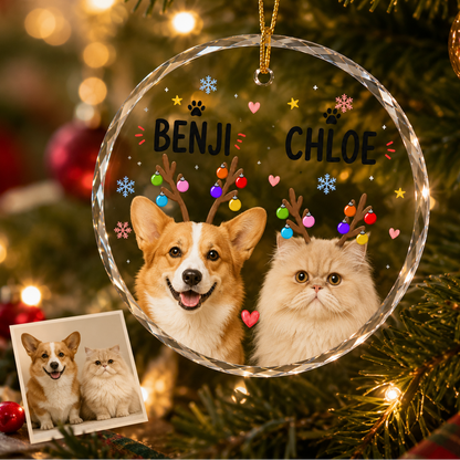 Custom Photo Pet Style 9