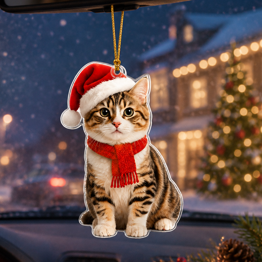 Noel Cat Munchkin Cat