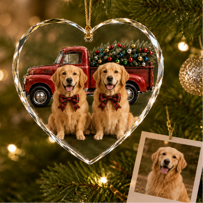 Custom Photo Dog With Christmas Car